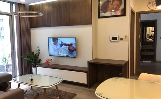 apartment for rent in binh thanh district 2 BT105P346 (3)